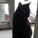 ���� ����� ���������, ������������ - ��������� 5 ������ 2016 � ������ ���� ����������