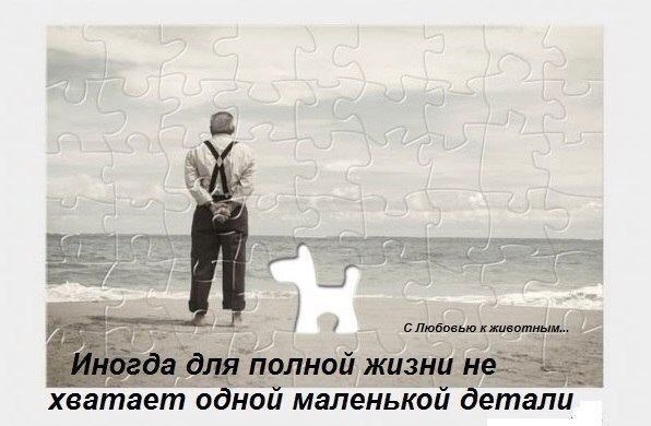   - 2  2016  22:46