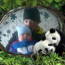 ���� ������, �����������, 53 ���� - ��������� 31 ����� 2016 � ������ ������ - ������ �����������