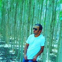 Kral, �������, 43 ����