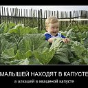 ���� Vadim, ��������, 45 ��� - ��������� 22 ����� 2016 � ������ ������ ��������