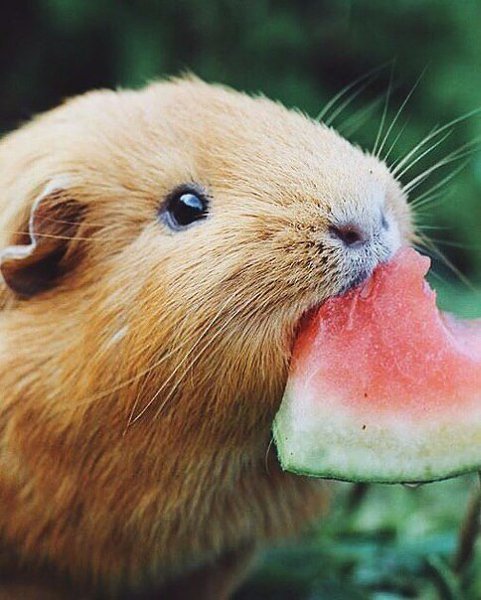 ��� �� ������� �������� - 3