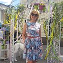 ��� 2016 �� ������� ���� ����������