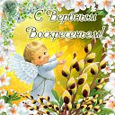 ���� �����, ������ - ��������� 9 ��� 2016 � ������ �������� ��������