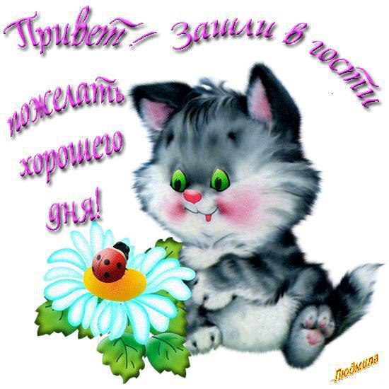 ~Dasha~ - 16 ��� 2016 � 16:03