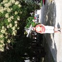 ���� �������, ������������, 68 ��� - ��������� 28 ��� 2016 � ������ ���� ����������