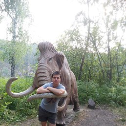 Dimon, �������, 37 ���