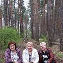 ���� ������, �������, 66 ��� - ��������� 4 ���� 2016 � ������ ���� ����������