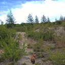 ���� U-jin, ������, 54 ���� - ��������� 11 ������� 2016 � ������ ������� ������ �����