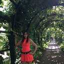 ���� �������, �����-���������, 39 ��� - ��������� 1 ���� 2016