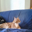 Ÿ ���.......... �� ������� ���� ����������