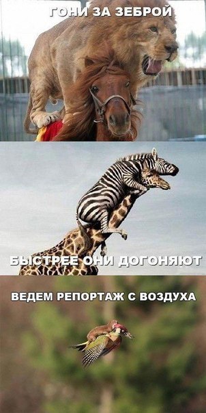    :D - 6  2016  04:03