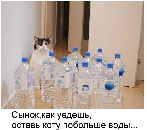  - 20  2016  16:02