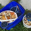 ���� 2016 �� ������� �� ��� - ��������!!!)))�