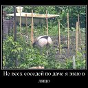 ���� ������, ������������, 66 ��� - ��������� 11 ������� 2016 � ������ ������ ��������