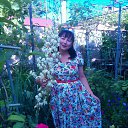 ���� �������, ���������, 66 ��� - ��������� 5 ���� 2016 � ������ ���������� ������