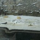 ���� ����, ������������, 35 ��� - ��������� 12 ���� 2016 � ������ �Moscow 2016 January�