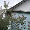 ���� ��������, ������ ��������, 75 ��� - ��������� 23 ��� 2016 � ������ ������������ ����� � ���� ����ͻ