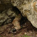 ���� ���, ������������, 46 ��� - ��������� 22 ��� 2016 � ������ �������� 2�