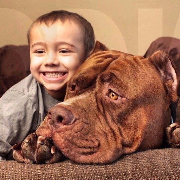      ...  .      . 80   ... - 4