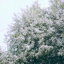 � � ��� ������ �����!!! �� ������� ���� ����������