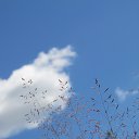 ���� ������, ������, 54 ���� - ��������� 22 ������� 2016 � ������ ���� ����������
