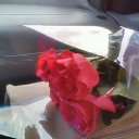 ���� ��������, ����� - ��������� 16 ���� 2016 � ������ ���� ����������