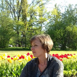 �����, �����-���������, 60 ���