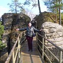 ���������� ������ �� ������� ������, ���� 2016�