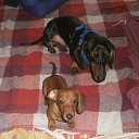  , -, 50  -  22  2016    