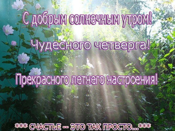  - 23  2016  07:32