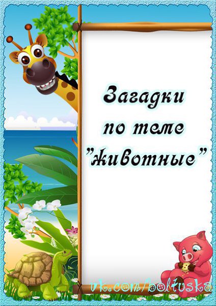 Загадки по теме