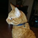 ���� �����, ������ - ��������� 7 ��� 2016 � ������ ������ ��������