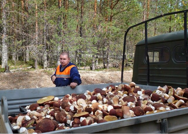   .  .       . ,  ... - 21