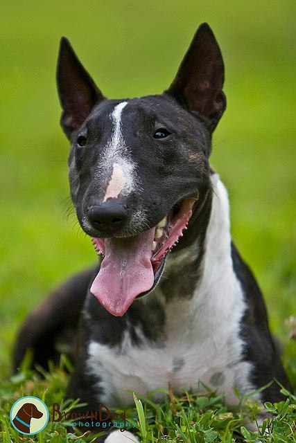 До лета осталась одна неделька