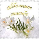 ���� ��������, ������� - ��������� 23 ����� 2016 � ������ ������ ��������