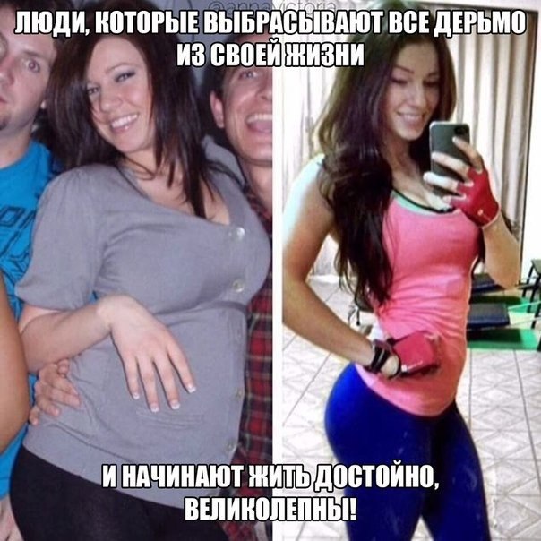 SportFeed - 13  2016  08:43