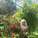 ���� �����, ������ - ��������� 23 ���� 2016 � ������ ���� ����������