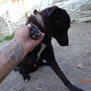 ���� ������, �����������, 47 ��� - ��������� 31 ������� 2016 � ������ ���� ����������