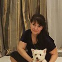 ���� �����, ������, 51 ��� - ��������� 5 ��� 2016 � ������ ���� ����������