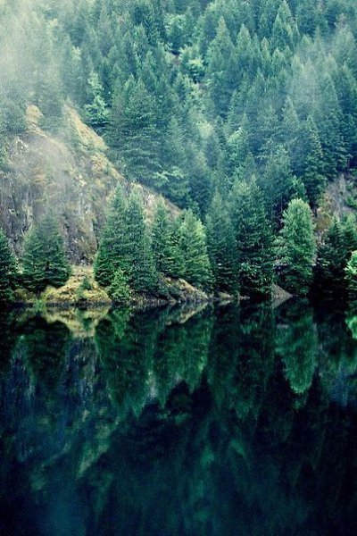     ,   ,       .  .  - 3