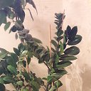 ���� ��������, ������, 51 ��� - ��������� 30 ������ 2016 � ������ ���� ����������