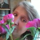 ���� ��������, ������ ��������, 61 ��� - ��������� 7 ���� 2016 � ������ ���� ����������