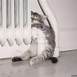 ���� Slawa, �������, 45 ��� - ��������� 5 ������ 2016