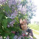 ���� ����, �������, 55 ��� - ��������� 29 ��� 2016 � ������ ���� ����������