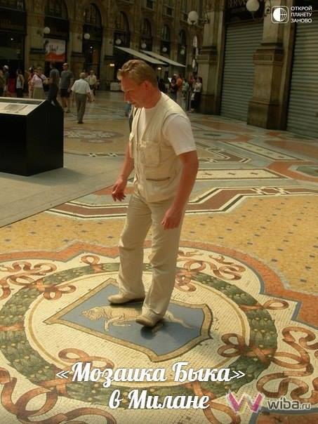 «Мозаика Быка» в Милане, Италия –.Galleria Vittorio Emanuele II является типичным коммерческим ...