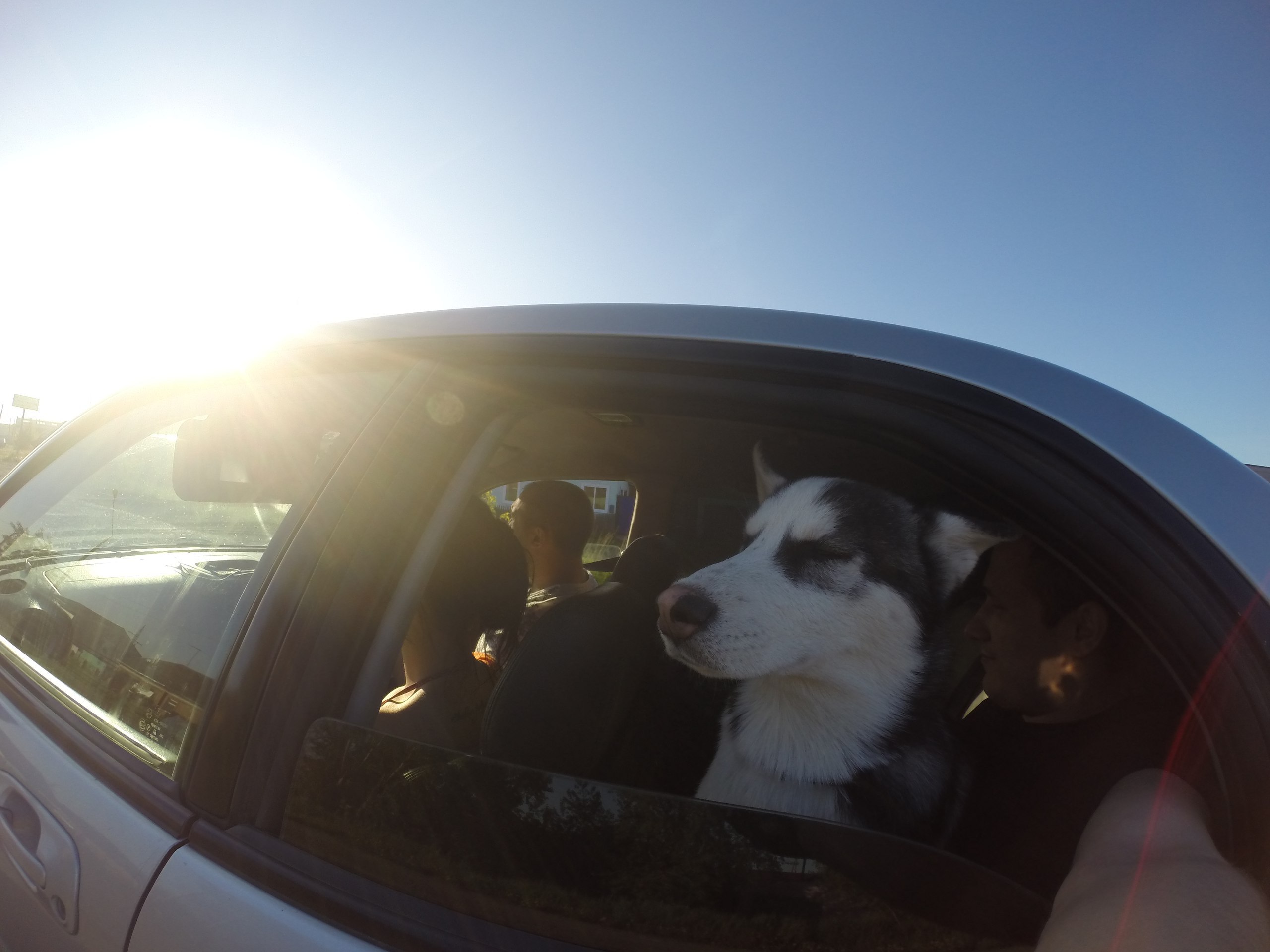   - 5  2016  06:53 - 7