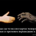 ���� ������, �����-������, 40 ��� - ��������� 2 ���� 2016 � ������ ���� ����������