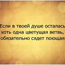 ���� ����, ����������, 64 ���� - ��������� 9 ������ 2016 � ������ ������ ��������