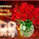 ���� �������, ������� - ��������� 8 ���� 2016 � ������ ������